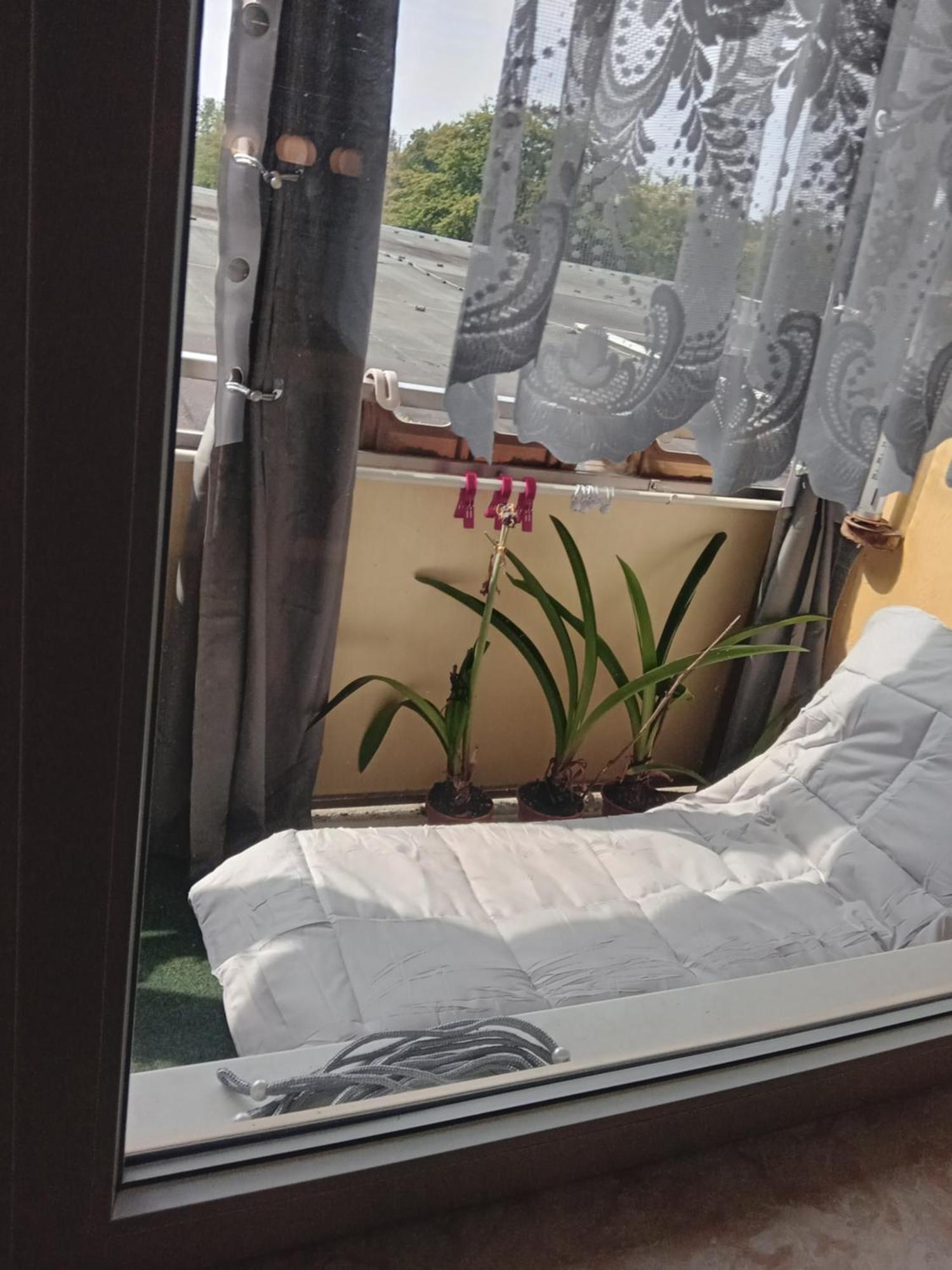 Lejlighed 416, Am Kurpark 3, 38700 Braunlage